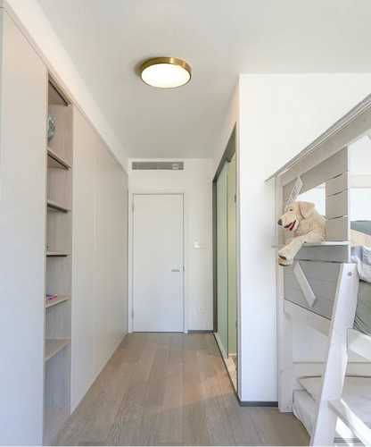 Aurelia Luxe Ceiling Light