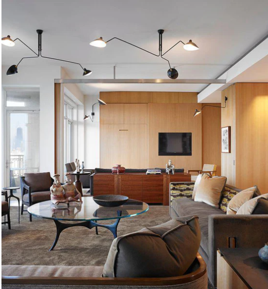 Vertex Orbit Spider Arm Ceiling light